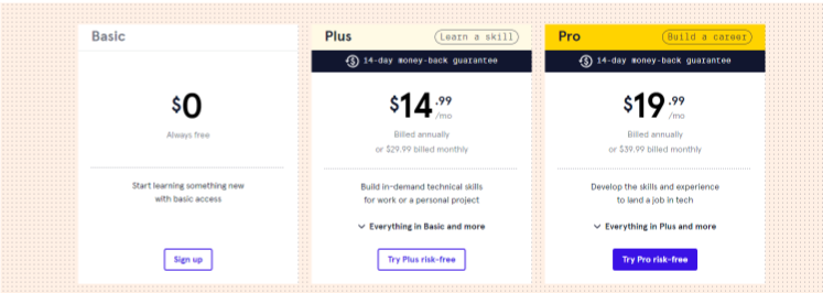 Codecademy Cost