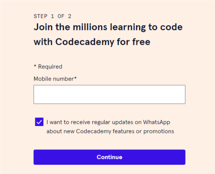 Codecademy Website