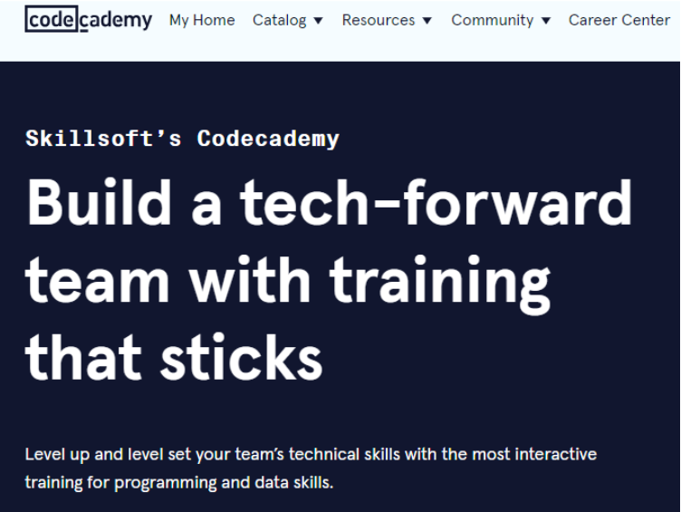 Codecademy for Business